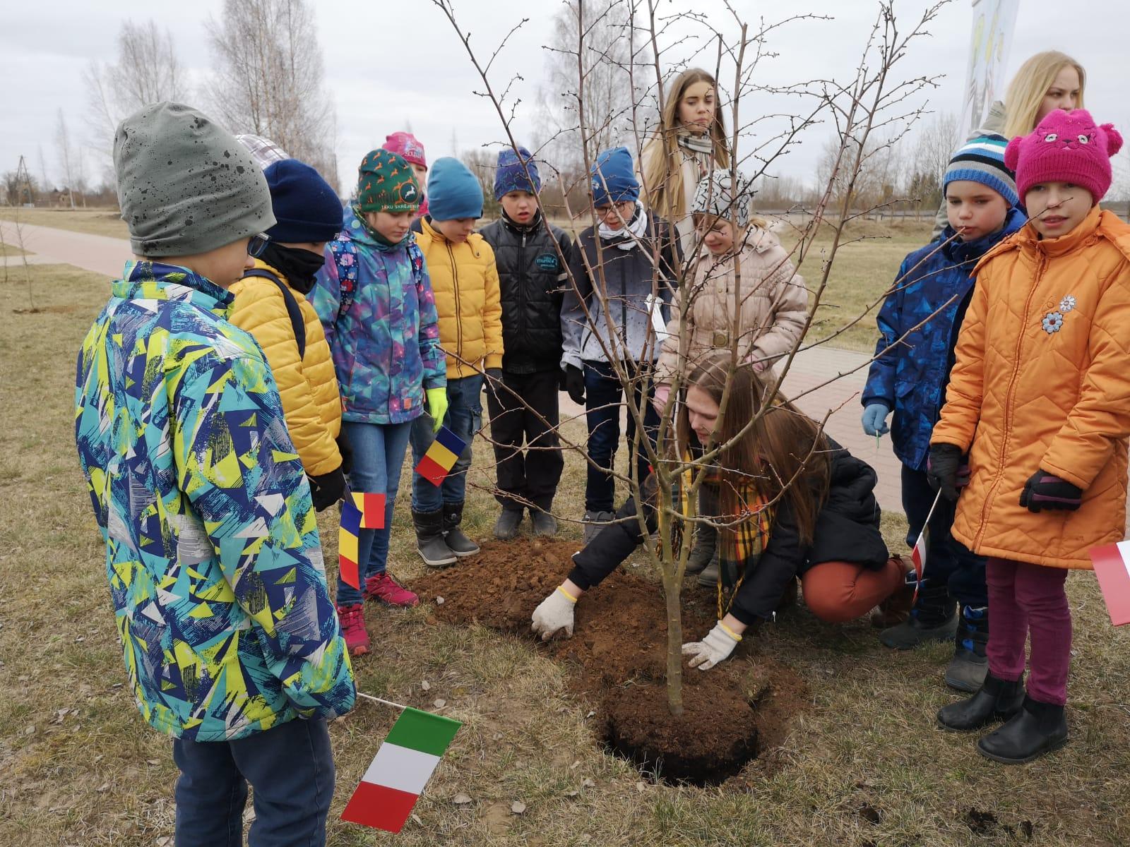 Stāda koku kopā ar skolēniem