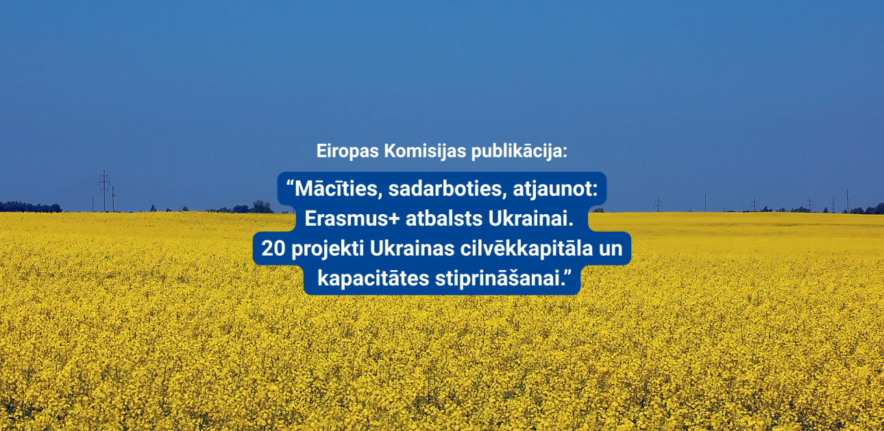 Rapšu lauks, zilas debesis