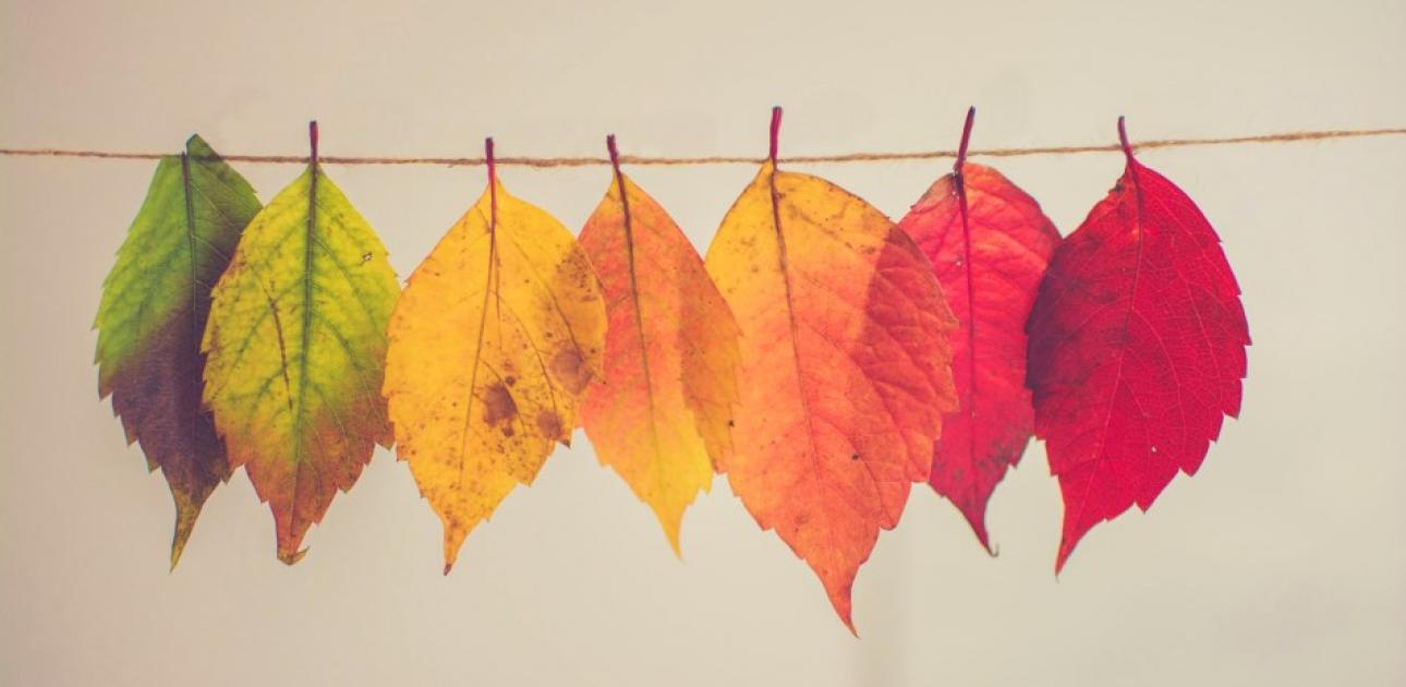 JSPA aktivitates novembri